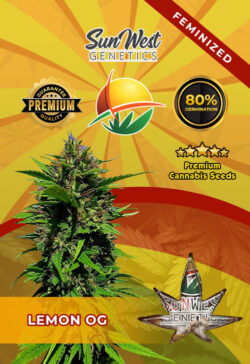 Lemon OG Feminized