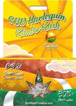 CBD Harlequin Kimbo Kush Fast Version