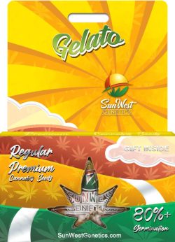 Gelato Strain Regular Marijuana Seeds