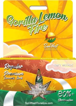 Gorilla Lemon Fire Strain Regular Marijuana Seeds