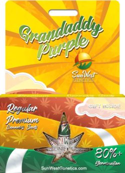 Grandaddy Purple Strain Regular Marijuana Seeds