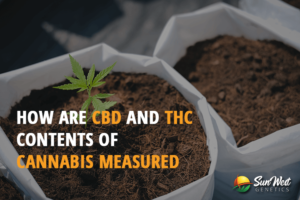 how are cbd and thc contents of cannabis measured