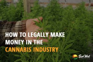 how to legally make money in the cannabis industry