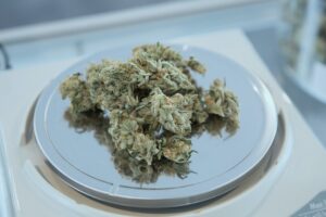add weed VPQ7Aruqdzo unsplash 1