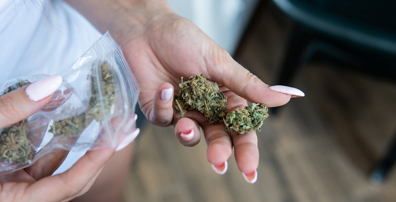 high cbd strains