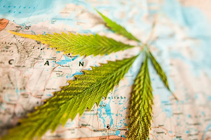 marijuana canada