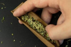 HOW TO ROLL THE PERFECT BLUNT 1