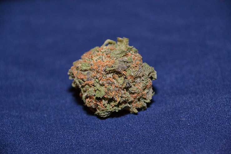 Gelato 1