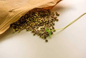 Buying Weed Seeds
