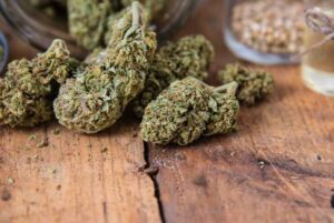 Mango Kush Marijuana 1