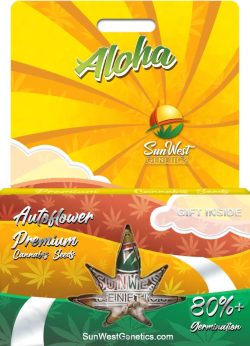 Aloha Strain Autoflowering Marijuana Seeds