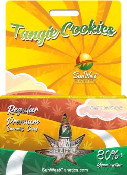 Tangie Cookies Strain Regular Marijuana Seeds