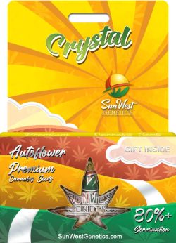 Crystal Strain Autoflowering Marijuana Seeds