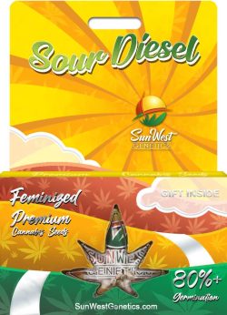 Sour Diesel Strain Feminized