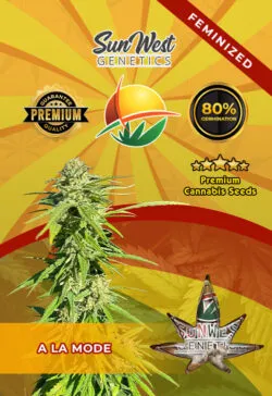 A La Mode Feminized Marijuana Seeds