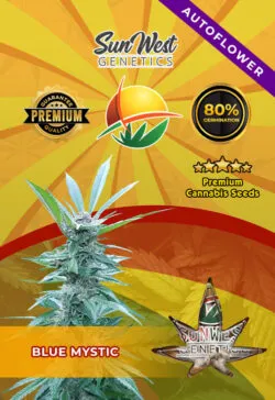 Blue Mystic Autoflowering Marijuana Seeds