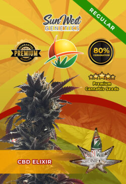 CBD Elixir Regular