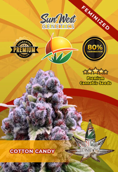 Cotton Candy Feminized