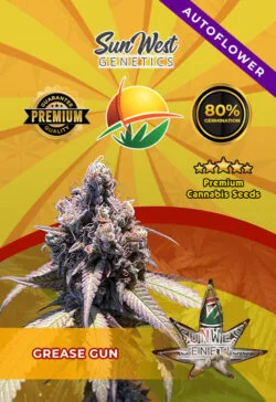 Grease Gun Autoflowering