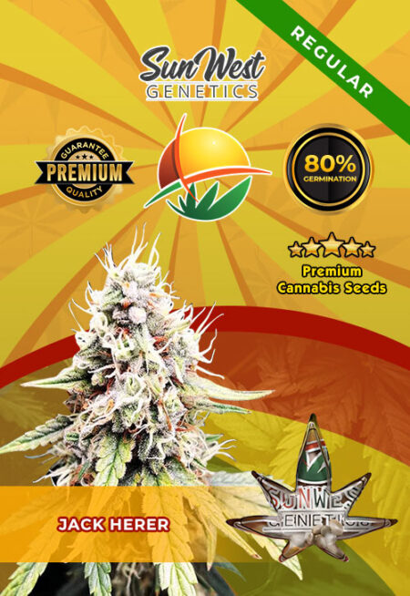 Jack Herer Regular