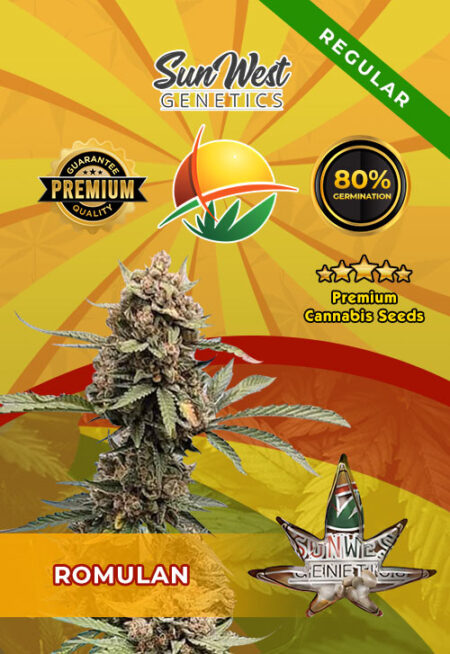 Romulan Regular