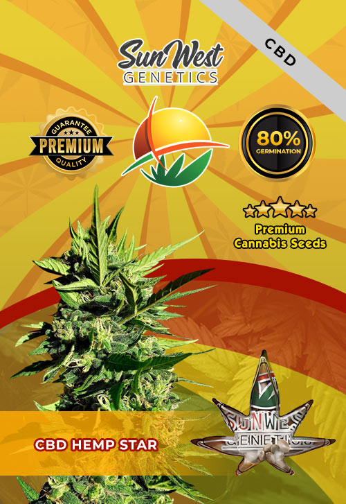 CBD Hemp Star Feminized Marijuana Seeds