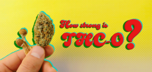 How Strong is THC O