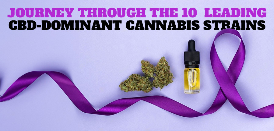 CBD-Dominant Cannabis Strains