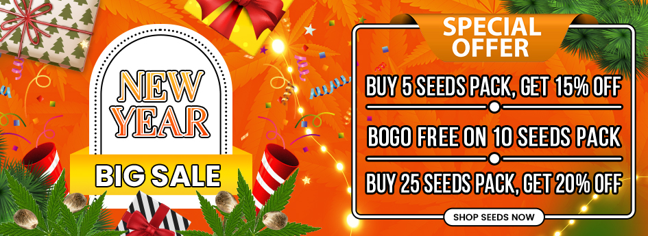Year End Promo