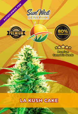 La Kush Cake Strain