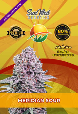 Meridian Sour Strain