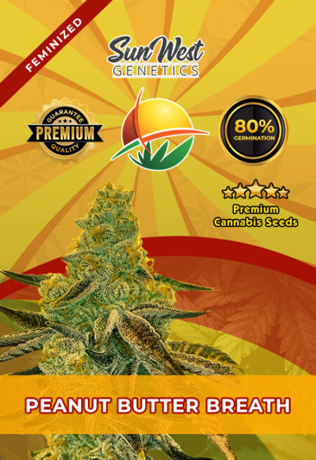 Peanut Butter Breath Strain