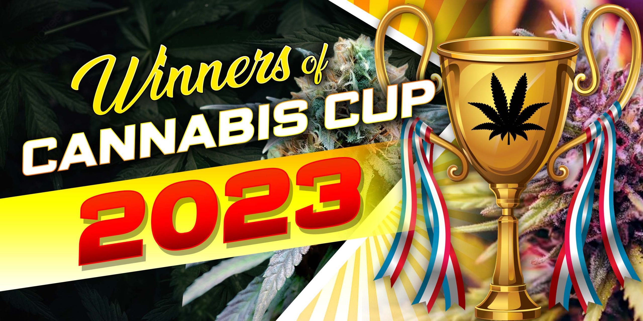 Winners of Cannabis Cup 2023
