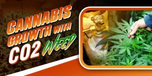 CO2 Weed