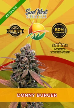 Donny Burger Strain Regular