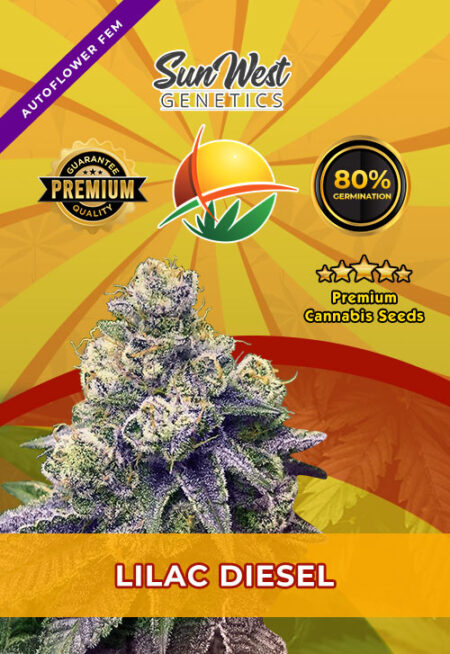 Lilac Diesel Strain