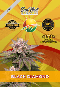 Black Diamond Strain CBD