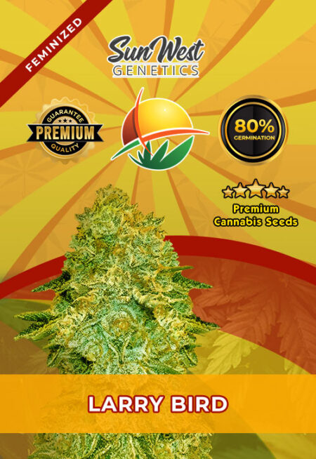 Larry Bird Strain Feminized