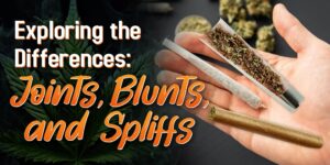 joints vs blunt