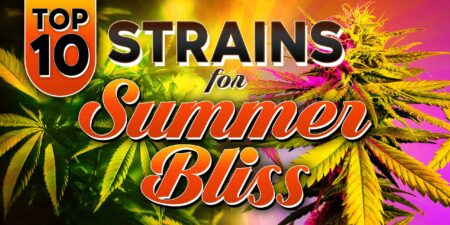 utterly stoned strain