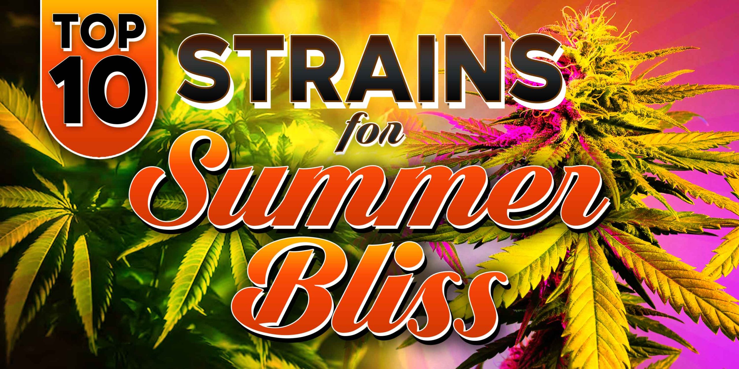utterly stoned strain
