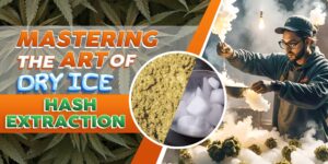 Mastering the Art of Dry Ice Hash Extraction