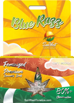 Blue Razz Strain Feminized