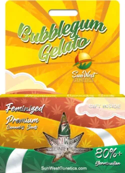 Bubblegum Gelato Strain Feminized