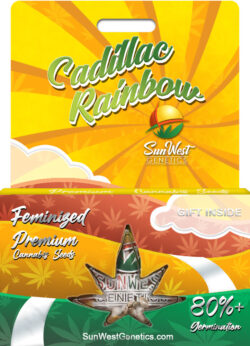 Cadillac Rainbow Strain Feminized