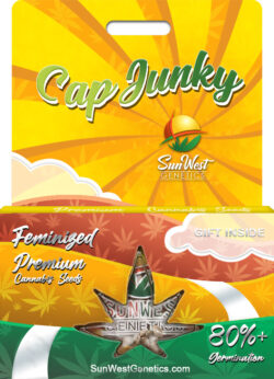 Cap Junky Strain Feminized