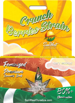 Crunch Berries Strain Feminized