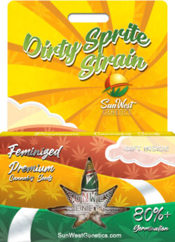 Dirty Sprite Strain Feminized