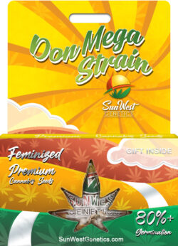 Don Mega Strain Feminized