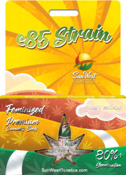 E85 Strain Feminized